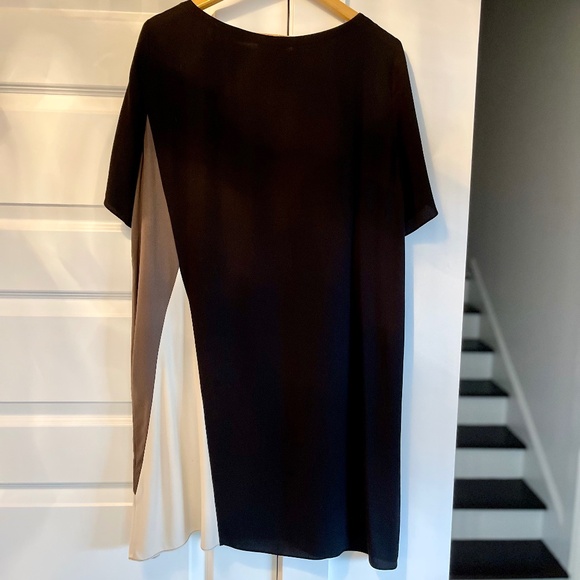 Eileen Fisher 100% Silk Georgette Color-Block Shift Pullover Dress ~ Size L/G - Picture 6 of 7